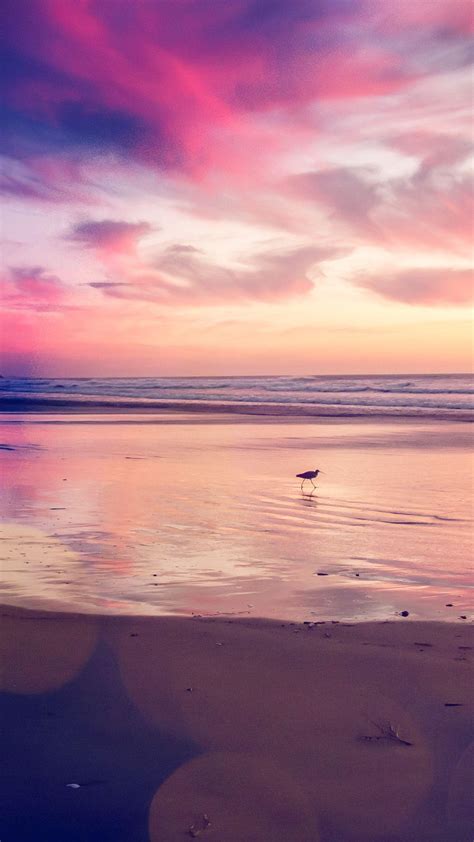 Sunset Beach Iphone Wallpapers Bigbeamng