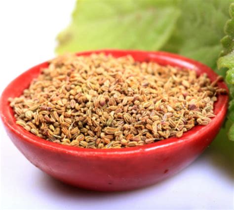 Celery Seeds Ajwain Benefits Ajwanin Helps In Digestive System And