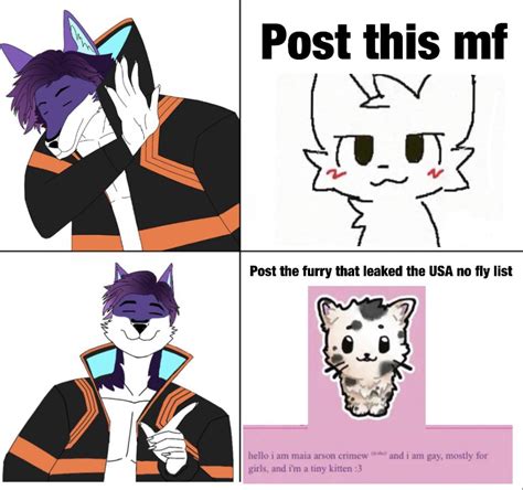 Furryirl Rfurryirl