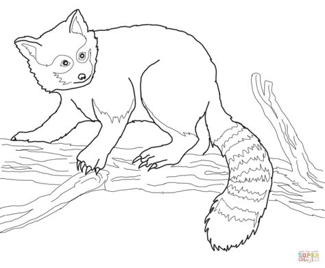 Red Panda On Tree Coloring Page Free Printable Coloring Pages