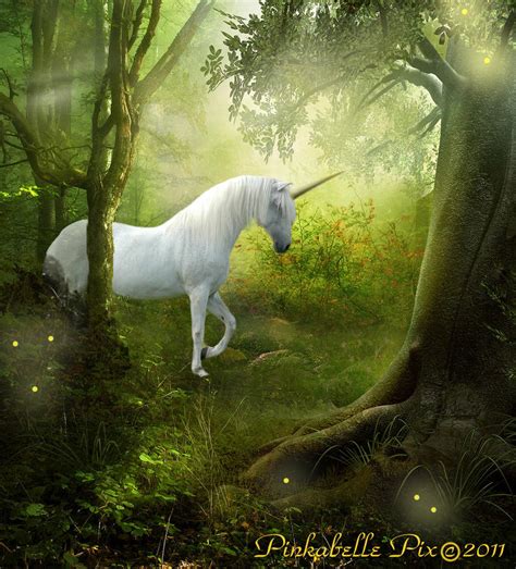 Unicorn Forest By Pinkabelle On Deviantart