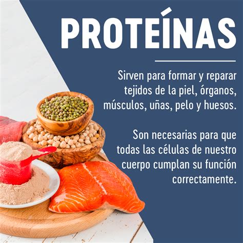 Que Son Y Para Que Sirven Las Proteinas Qué Proteínas Tipos