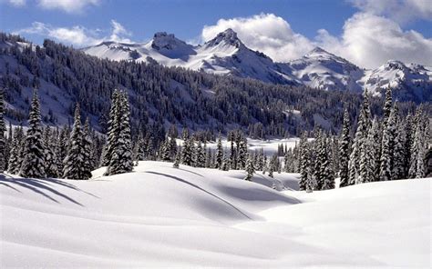 65568 earth/nature hd wallpapers and background images. Cool Winter Backgrounds - Wallpaper Cave