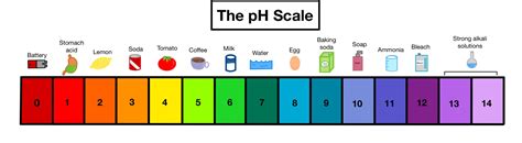Ph Scale Examples