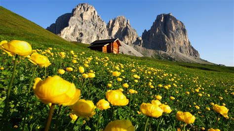 1920x1080 Mountains Flowers Nature Landscape Italy