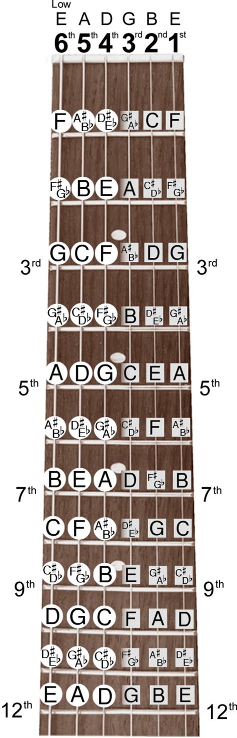 Guitar Chord Fretboard Note Chart Instructional Easy 11x17 Poster For