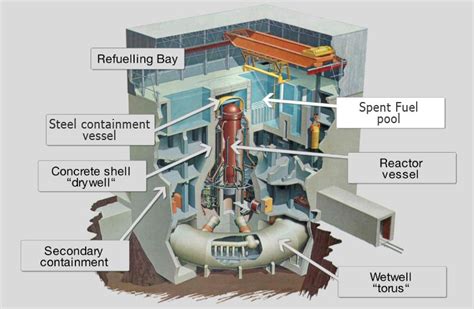 The one that struck the plant was. The Fukushima Daiichi Nuclear Disaster - Yu Lung Yeung