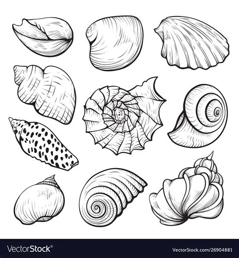 Star Clipart Vector Clipart Under The Sea Drawings Shell Drawing Porn