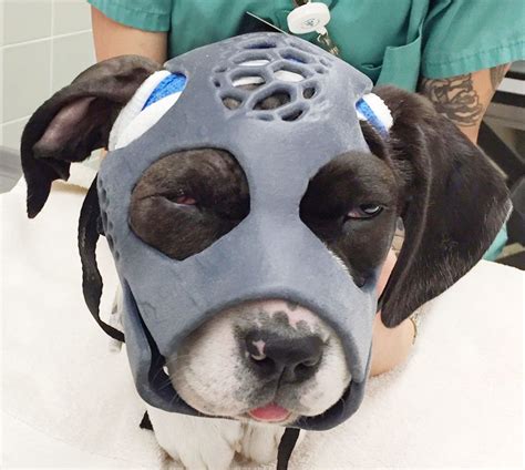 3d Baskı İle Yapılmış En İlginç Ürünler Dog Skull 3d Printed Mask