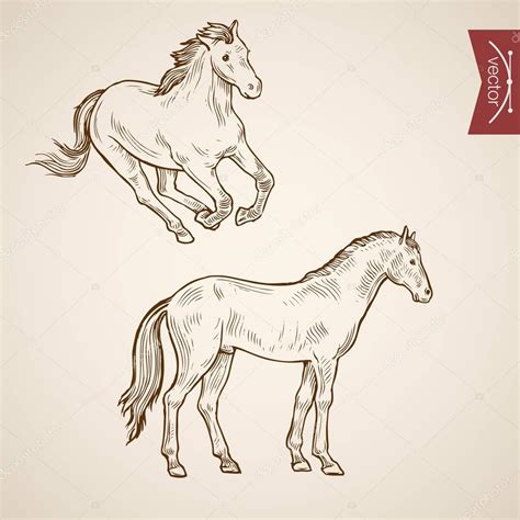 Horse Doodle Collage Stock Vector Image By ©sentavio 130516156