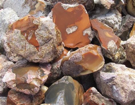 Bruneau Jasper T Rocks In Quartzsite