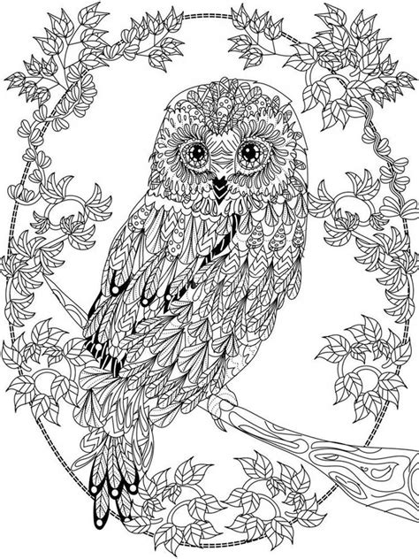 Free Owl coloring pages for Adults. Printable to Download Owl coloring