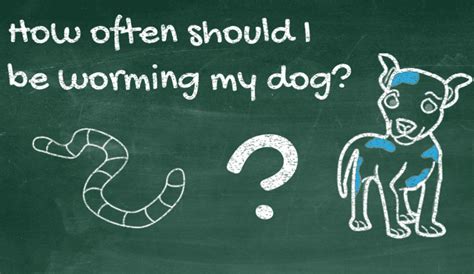 This is the most common way to confirm that your dog has worms. How Often Should I Worm My Dog?
