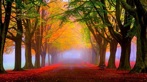 24 Fall Wallpapers Backgrounds Images Pictures Design Trends