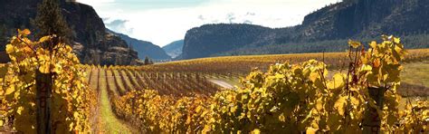 Okanagan Falls Wine Region Of British Columbia Wine Bc