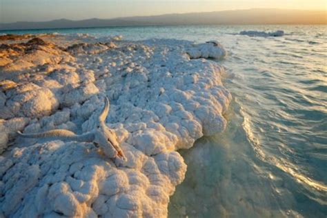 Deformutilated Salt Encrusted Skull At Lake Assal Djibouti Lake Assal Marks Africa’s Lowest