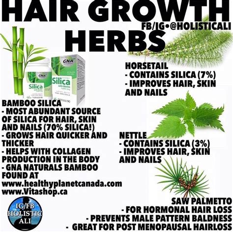 Pin By Crystal On Hair Care Herbs For Health Herbs For Hair Herbs