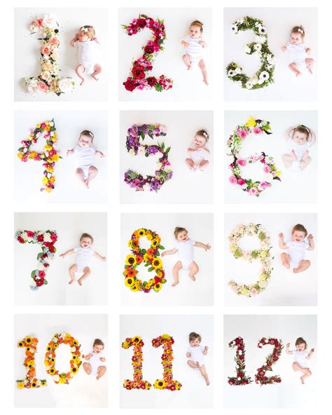 Ideas For Baby Pictures Each Month Top Concept