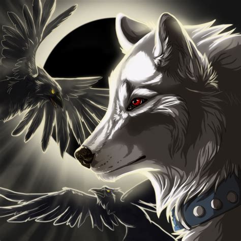 ~the White Demons And Dark Angels~ Wolf Roleplay Sign Up