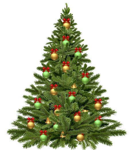 Download Christmas Tree Holidays Christmas Royalty Free Stock