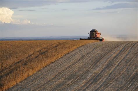 Brasil Paraguay Y Argentina Lideran La Producción De Soja En Latam