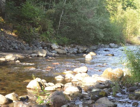 Big Quilcene River salmon season called off as low flows continue amid