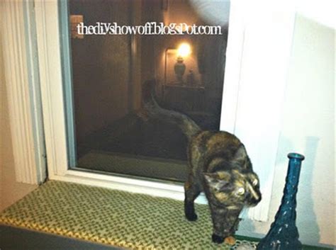 It's a short jump from our bed to the basket and she has quite a view of our back yard. DIY - How to Make a Cat Window PerchDIY Show Off ™ - DIY ...