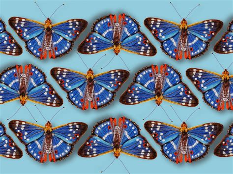 Butterfly repeat pattern by Sarah Ritchings | Repeating patterns, Repeat patterns, Needle felting
