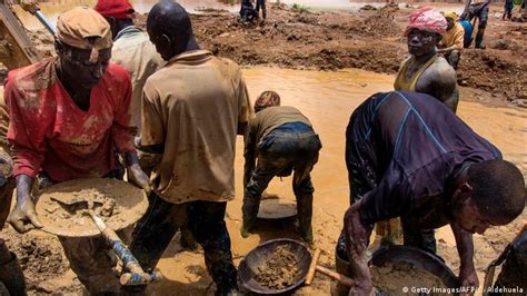 Les Champs Abandonnés Au Profit De L′orpaillage à Katiola Afrique