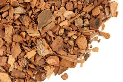 Homemade root beer is easy to make! SASSAFRAS ROOT|Honey & Spice Health Foods