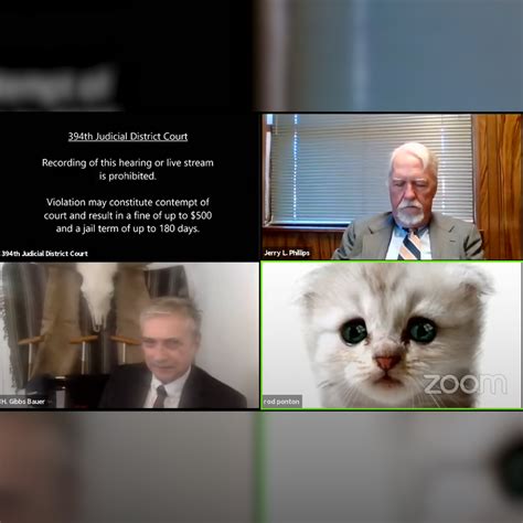 Ponton said his assistant was trying. West Texas lawyer using Zoom cat filter goes viral