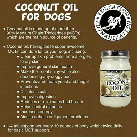 Coconut Oil For Dogs Dog Food Recipes Homemade Dog Food Coconut Oil