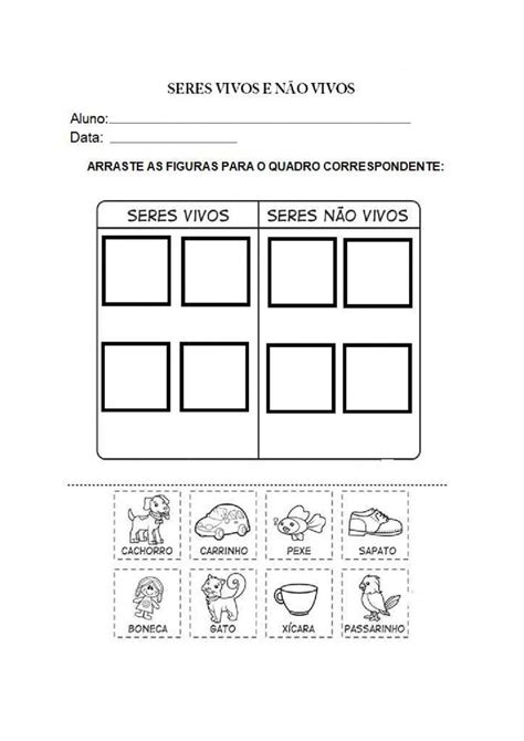 Seres Vivos E Não Vivos Interactive Worksheet Workbook Online