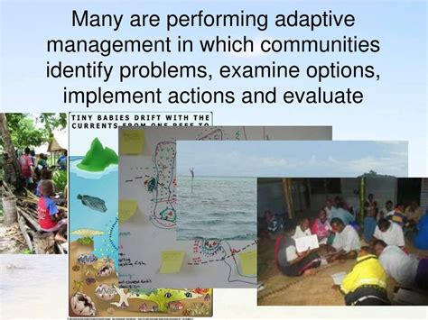Ppt Status And Potential Of Locally Managed Marine Areas In The