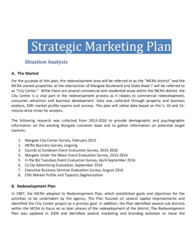 FREE 10 Situation Analysis Marketing Plan Samples In PDF DOC