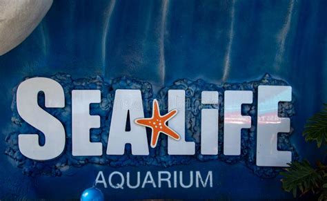 Sealife Aquarium Inside Legoland Editorial Photo Image Of California