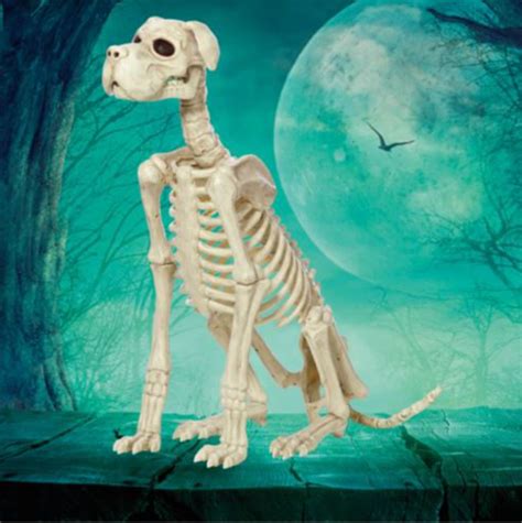 See more ideas about dog skeleton, skeleton drawings, skeleton. Halloween Decorations Indoor Outdoor Large Dog Skeleton ...