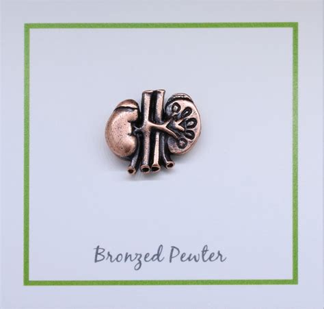 Kidneys Copper Dipped Pewter Lapel Pin Cc391c Medical Pins Etsy