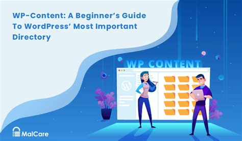 Wp Content Uploads A Beginners Guide