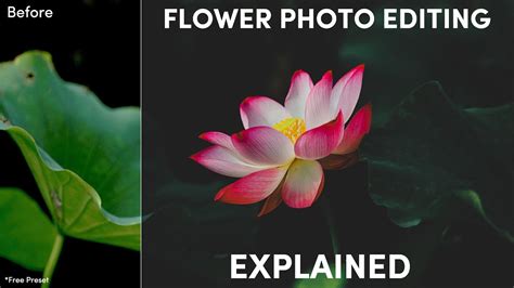 Photoshop Tutorial Flower Photography Editing Explained Free Preset