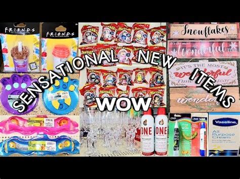 Come With Me To Dollar Trees Sensational New Items Unbelievable Nov Youtube