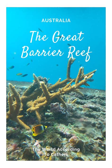 Travel Australia The Great Barrier Reef Great Barrier Reef