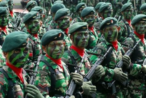 Peran Persenjataan TNI dalam Pertahanan Negara