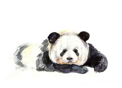 Panda Hand Painted Watercolor Digital Art By Tatyana Komtsyan Pixels
