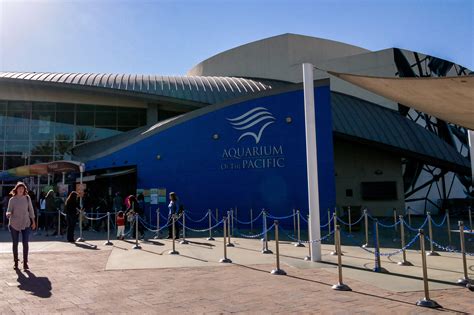 Aquarium Of The Pacific Long Beach California Hilarystyle