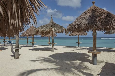 Divi Aruba Phoenix Beach Resort In Noord Best Rates And Deals On Orbitz