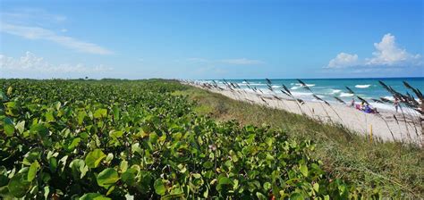 Playalinda Beach Canaveral National Seashore Florida Hikes