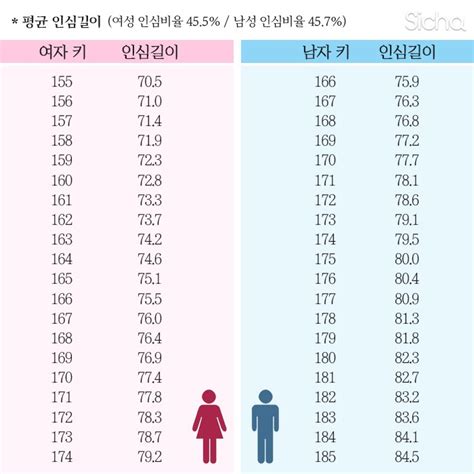 남녀 평균 다리길이 - BlingYoon | Vingle | 뉴스와이슈, 여성패션, 남성패션