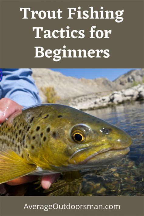 Beginner Trout Tips To Catch More Fish Average Outdoorsman
