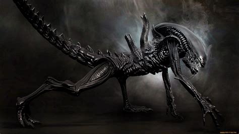 Alien Sci Fi Art Artwork Futuristic Aliens Wallpaper 2560x1440